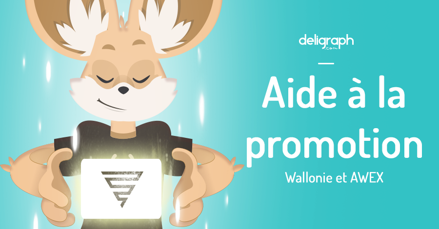 Aide financière pour la création d'un site internet et la création graphique : Wallonie et AWEX